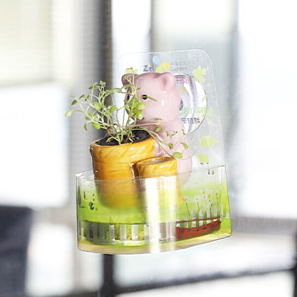 

DIY мини керамический животное Чак комнатные растения настольного офисного декора