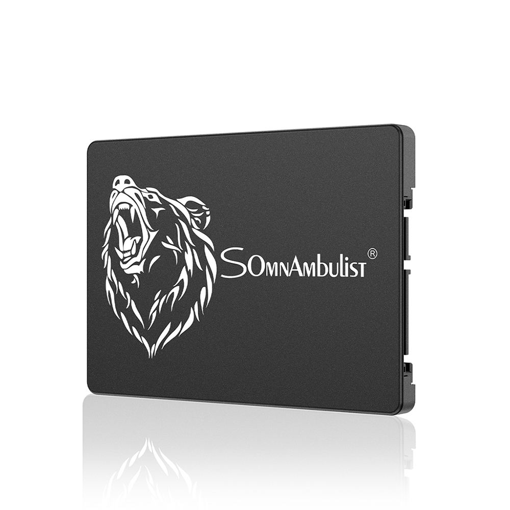 Find Somnambulist 2 5 inch SATA III SSD 120GB/240GB/480GB/960GB TLC Nand Flash Solid State Drive Hard Disk for Laptop Desktop Computer Black Bear for Sale on Gipsybee.com with cryptocurrencies