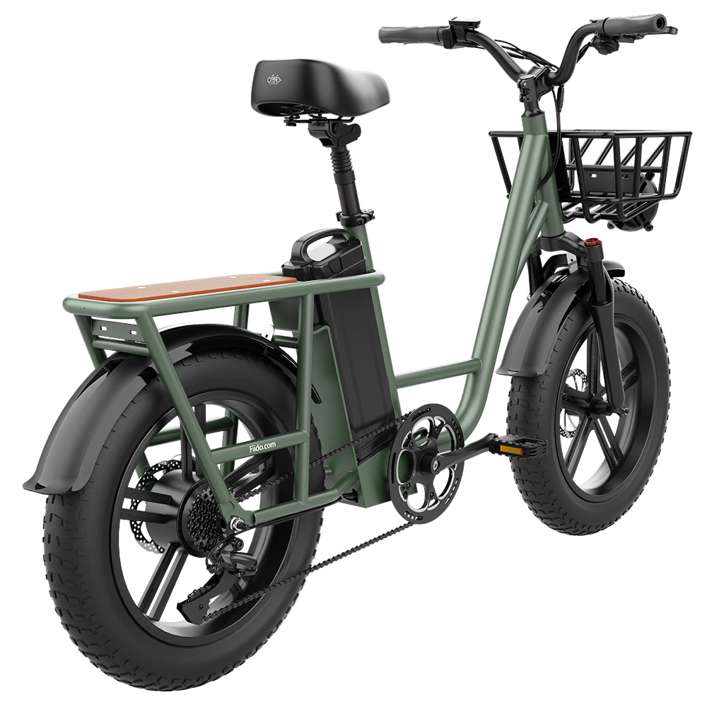 Find US Direct FIIDO T1 48V 20AH 750W 20 4 0in Electric Bicycle 150 KM Mileage 150 KG Payload Mechanical Disc Brake Electric Bike for Sale on Gipsybee.com with cryptocurrencies