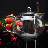 Καθαριστικό τσάι υψηλής ποιότητας από υψηλής ποιότητας γυαλί Borosilicate χωρητικότητας 800ml από ανοξείδωτο ατσάλι