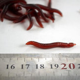 Isca de vermes de plástico Vermes vermelhos de silicone para pesca