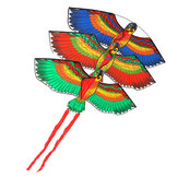 Cerf-volant en polyester pour les activités extérieures à la plage, parc ou camping avec une image de perroquet, stable en vol, avec une bobine de fil pour les adultes et les enfants.