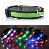 Focuspet Outdoor Nylon LED Pet Dog Collar Night Safety Anti-lost Flashing Glow Collars Supplies Leashes
