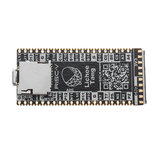 Lichee Tang 64Mbit SDRAM FPGA Downloader Dual Flash RISC-V Entwicklungsboard