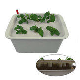 Mini-Oxygen-11-Loch-Wasserkultur-Setzling-Boxen zur bodenlosen Kultivierung von Pflanzen durch Hydroponik.