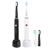Digoo DG YS33 3 Brush Modes Essence Sonic Electric Wireless USB Rechargeable Toothbrush 