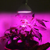 E27 100W LED светильник для роста 260LED Полный спектр растений Лампа для цветов Семена