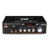 G919 2x180W Bluetooth HIFI Karaoke Amplificador Soporte para tarjeta de memoria FM USB Micrófono