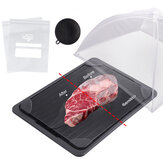 Auftauplatte zum schnelleren und sichereren Auftauen von Fleisch oder gefrorenen Lebensmitteln