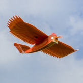 Dancing Wings Hobby الجديدة Biomimetic الكاردينال الشمالي بجنحة 1170 مم الجناح رغوة بطيئة الطيران الطائرة النموذجية RC الطائرة / KIT + محرك