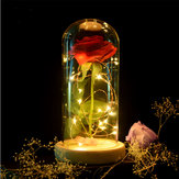 Red Rose Lights Decorations Beauty Enchanted Preserved Red Fresh Rose Glass Cover with LED Light