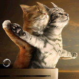 Titanic Jack ve Rose Cat 5D Kendin Yap Elmas Boyama Nakış Dekorasyon