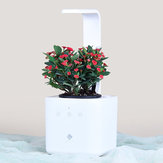 Флора Интеллектуальный 4 в 1 Цветочный горшок Смарт-цифровой Растение Свет для питания влаги Монитор Ромоте Автоматический б