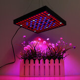 AC110-240V LED Grow Light Full Spectrum Растение Лампа для комнатных гидропонных цветов Veg