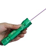 Puntatore viola Laser a forma di torcia elettrica 501B 405nm