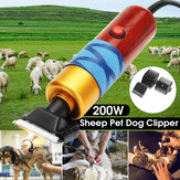 200W Schafschere Professionelles Hundepflege-Set Für Kaninchen-Hundepflege-Werkzeuge