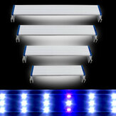 Süper İnce LEDler Akvaryum Aydınlatma Su Bitkisi Işığı 20-60CM Genişletilebilir Su Geçirmez Klip Lambası Balık Tankı Mavi Beyaz Işık