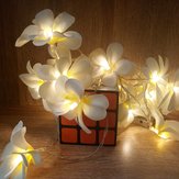 Λευκές φλογές φαντασίας με μορφή λουλουδιού frangipani με μπαταρία 3M 5M για χριστουγεννιάτικο πάρτι