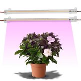 10PCS 30/50cm 7W LED Wachstumslicht mit vollem Spektrum und transparentem Gehäuse für Zimmerpflanzen Blumen Hydroponik 220V
