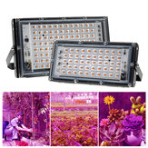 XANES® AC 220V 50/100W Luci LED per coltivazione indoor Spettro completo di crescita delle piante Luce allagamento per fiori Piantine Spina EU