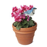 Plant Pal Soil Moisture Meter Alarm Cardinal Goldfinch Singing Voice Flower Bonsai Testing Tool