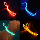 Πολύχρωμο κολάρο LED για κατοικίδια ζώα με φωτεινόσκοινο LED νυκτερινό φως
