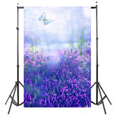 Lila Schmetterling Lavendel Fotografie Hintergrund Hintergrund Für Studio Foto