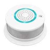 Wireless WiFi Smart CO Detector Carbon Monoxide Alarm Detector Smoke Sensor APP Control