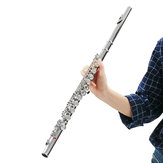Flauta em C de 16 furos com tubo prateado de níquel, instrumento de sopro de madeira com caixa