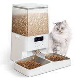 PETEMPO Odepinany Myjny Automatyczny Karmnik dla Kotów 5L Automatyczny Karmnik dla Kota na Suchą Karmę Wyświetlacz Cyfrowy