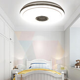 33CM LED Ceiling Light Lamp RGB bluetooth Music Speaker Dimmable Bedroom Lamp