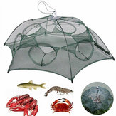 Ανοιγόμενο Δίχτυ Ψαρέματος ZANLURE, Δίχτυ Ψαρέματος για Καρκίνους, Ψάρια, Γαρίδες Μιννόου και Καραμύζη