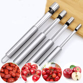 Stainless Steel Apple Core Remover Hawthorn Jujube Sydney Corer Fruit Coring Device Digging Tool Fruit Stalks Peeler Go Nuclear