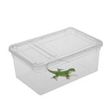 透明プラスチックボックス昆虫爬虫類輸送繁殖生体餌養箱部品収納ボックス