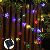 太陽光発電 7M LED 桜の花のストリングライト ロングブライト＋シングルモード/7 モードの屋外の庭の花のランプ