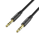 BlitzWolf® BW-AA1 Nylon Câble audio AUX tresse 3,5 mm 1 m / 3,3 pi pour iPhone pour Samsung