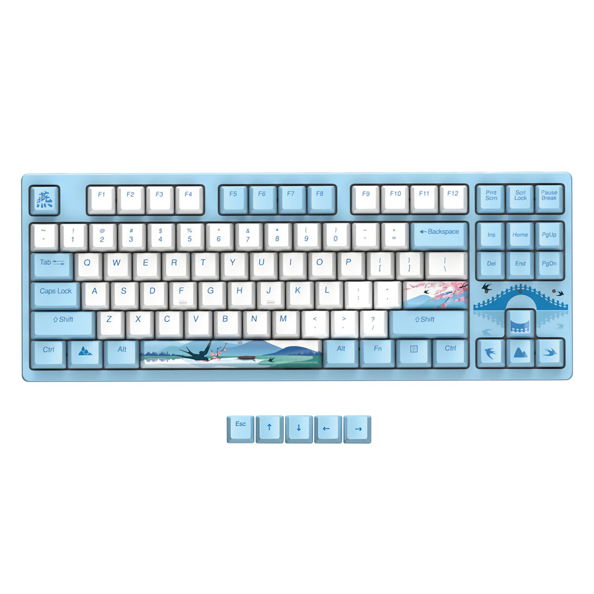 

DAREU A87 Mechanical Keyboard Swallow Theme Wired Ice Blue Backlight 87 Keys Cherry MX Switch Blue PBT Keycaps Gaming Ke