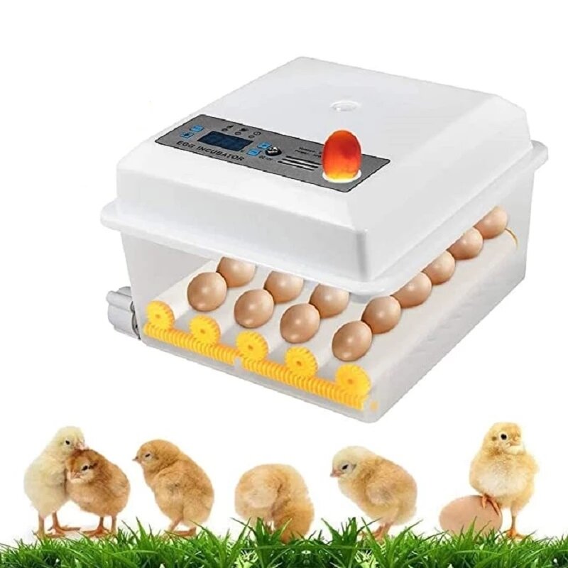 

110V/220V 16 Eggs Digital Fully Automatic Egg Incubator Mini Brooder Machine with Turner Household Chicken Incubation Eq