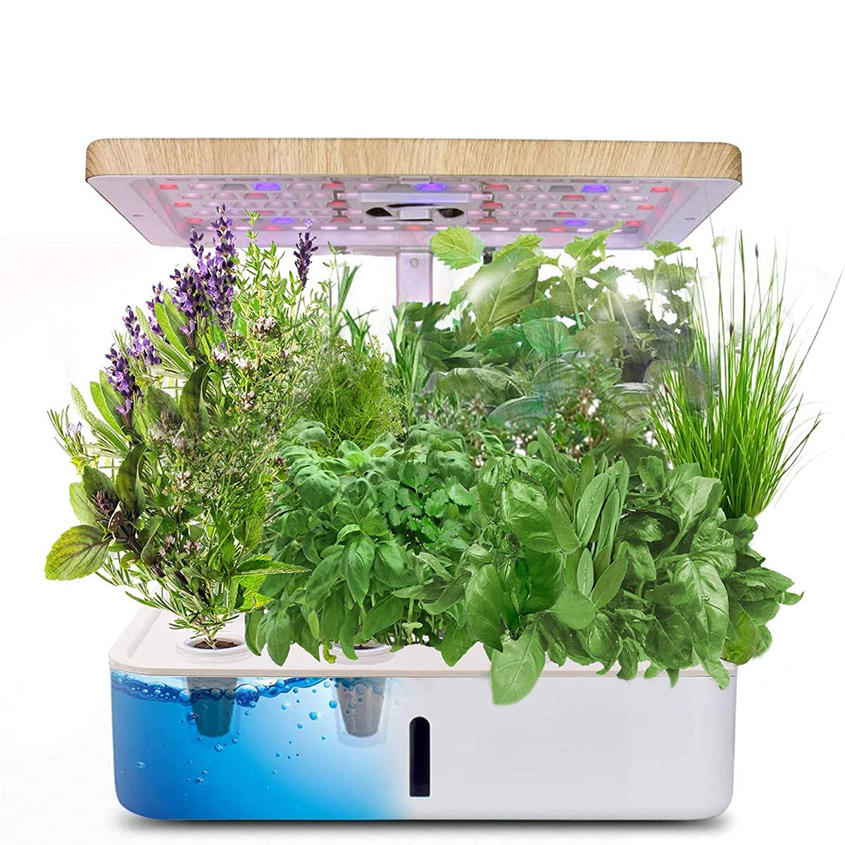 Hydroponics growing system indoor herb garden planter starter kit with ...