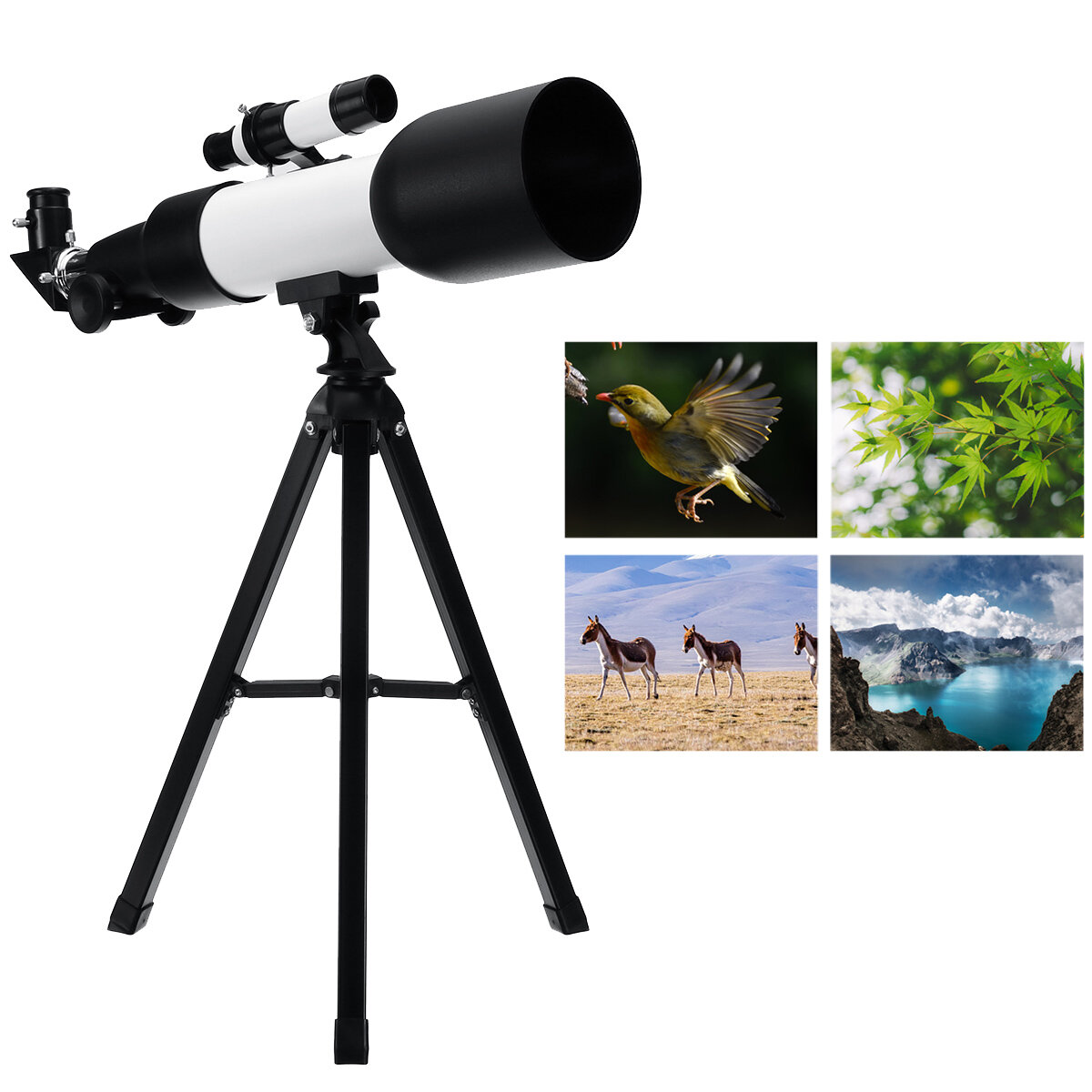 F360/60mm HD Astronomical Telescope 90° Celestial Mirror Clear Image High Magnification Monocular Starry Sky Viewing with Tripod