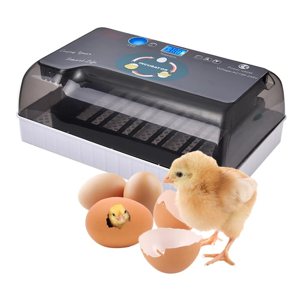 

12 Eggs Digital Egg Incubator Automatic Brooder Farm Chick Hatchery Machine for Goose Chicken Quail