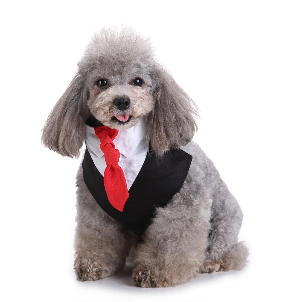 Formele hond Tuxedo Dog strikje en stropdassen ontwerpen