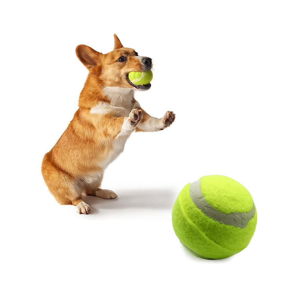 Yani TNBG8 2,5 Zoll Hund Tennis Ball Pet Spielzeug Riesen Pet