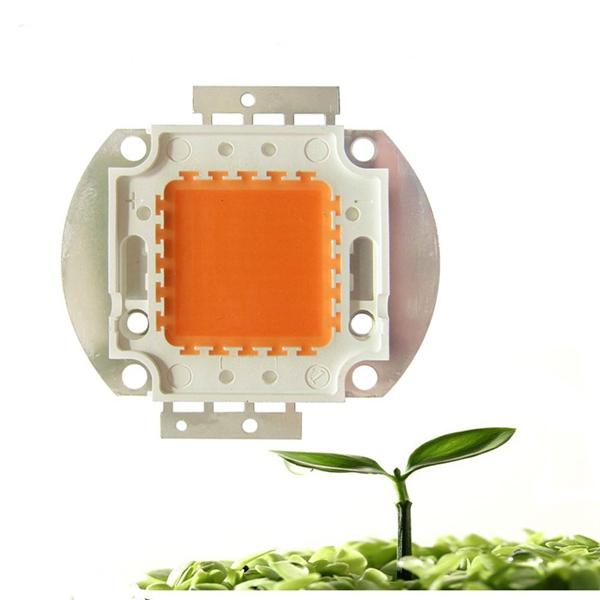 20W 30W 50W 30mil Full Spectrum LED Grow Chip DIY for Indoor Plant DC12-14V
