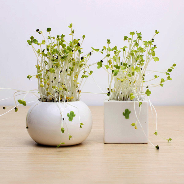 

DIY Mini Керамический Кактусовая трава в горшке Растение Настольный офисный декор