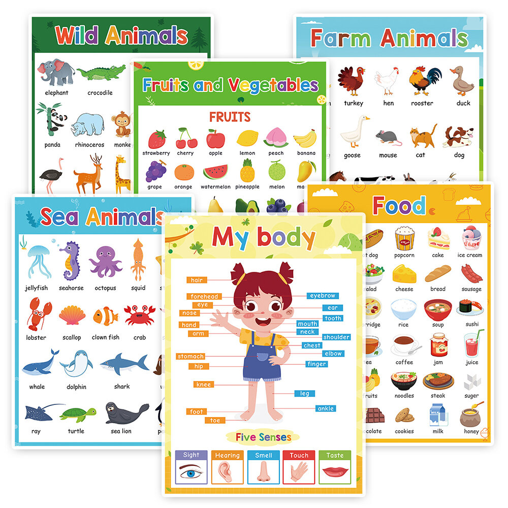 1 st A4 Lichaam Regios Fruit Dier Voedsel Muur Grafiek Praten Leren Poster Beste Educatief Speelgoed