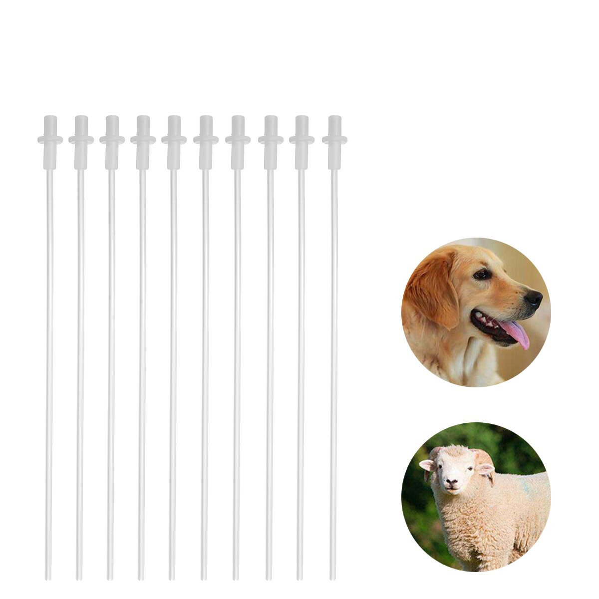 

10Pcs Disposable Canine Dog Goat Sheep Artificial Insemination Rods Tube Breed Whelp Catheter Rods Test Tube