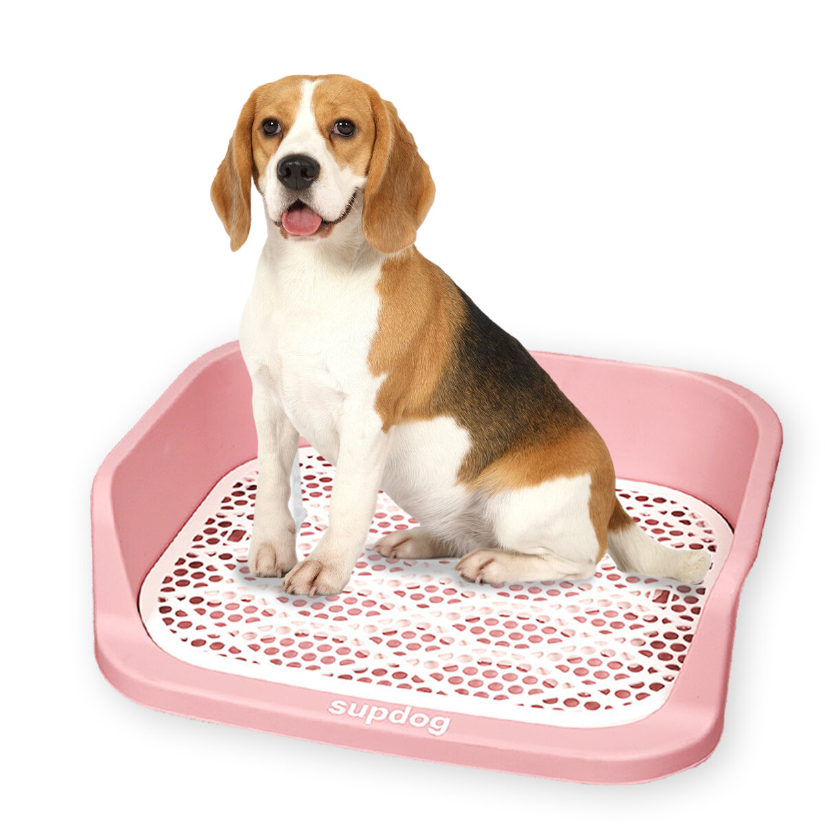 Pet Loo Portable Outdoor of Indoor Dog Toliet Alternatief voor puppypads voor kleine, middelgrote en