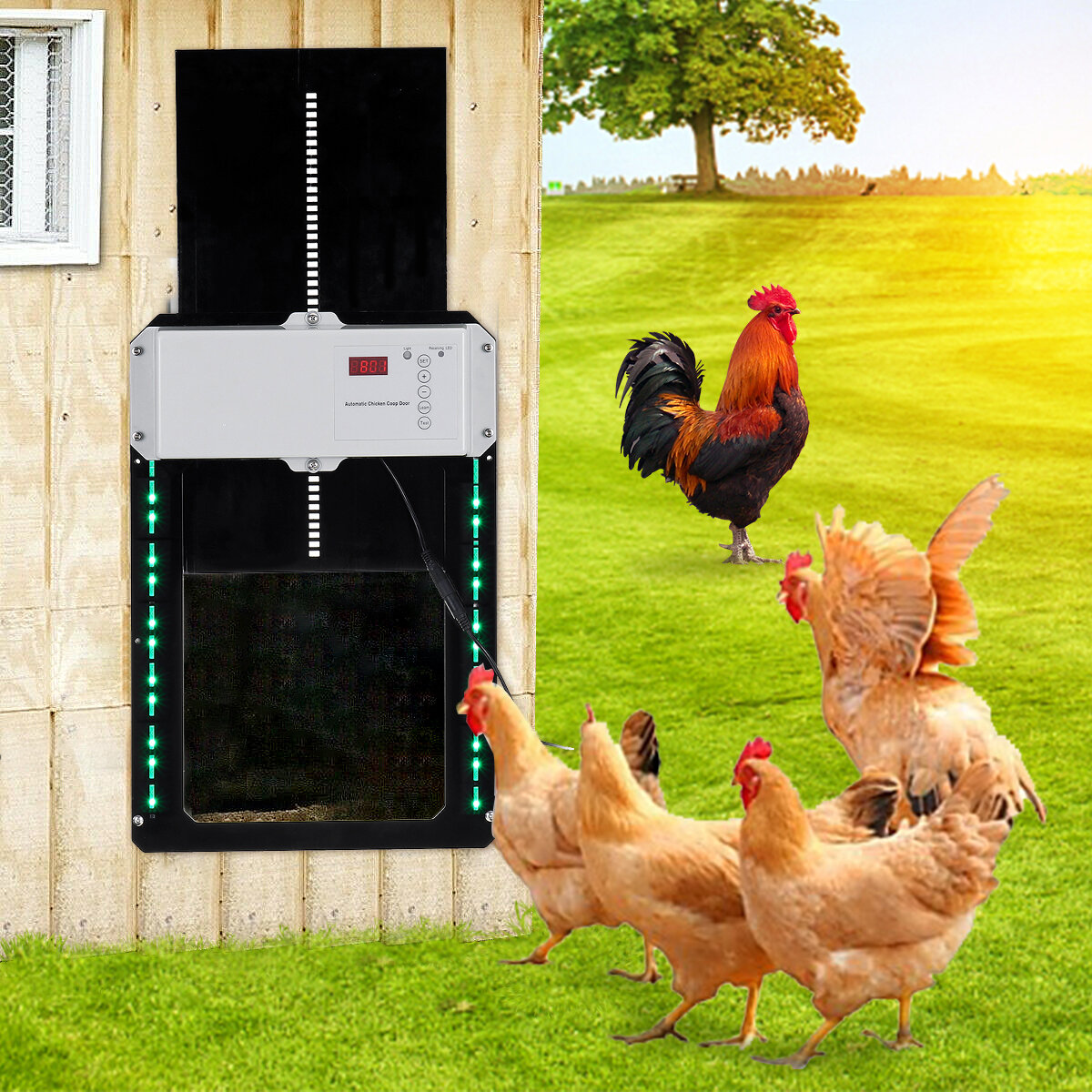 Automatic Chicken Coop Door Light-sensitive Automatic Puppy House Door High Quality And Practical Ch