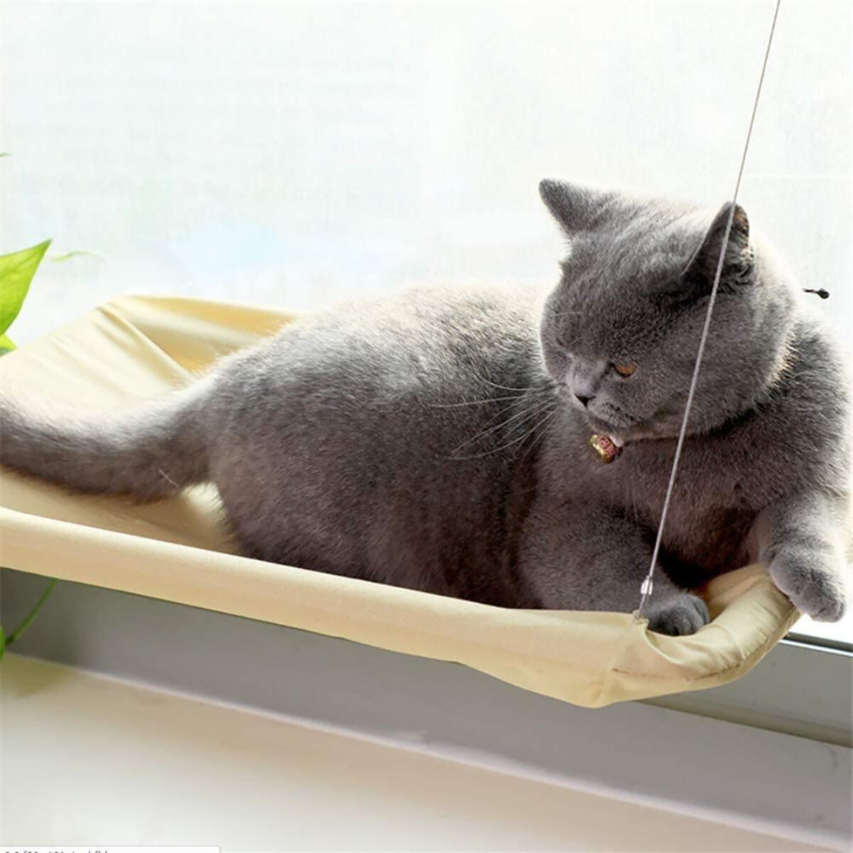 Niet-geweven stoffen kattenhangmat hangend bed 20 kg groot draagvermogen met sterke zonnekap, eenvou